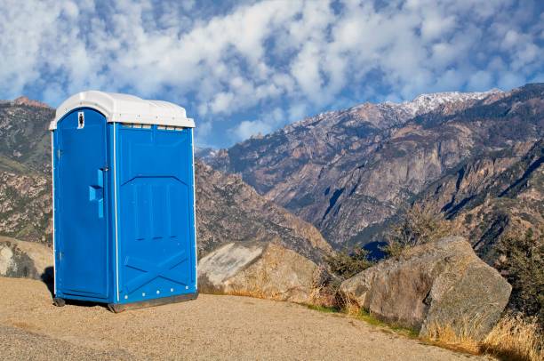 Best Portable Toilets with Baby Changing Stations  in Capac, MI